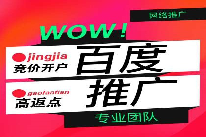 高效百度竞价推广运营技巧分享及成功案例